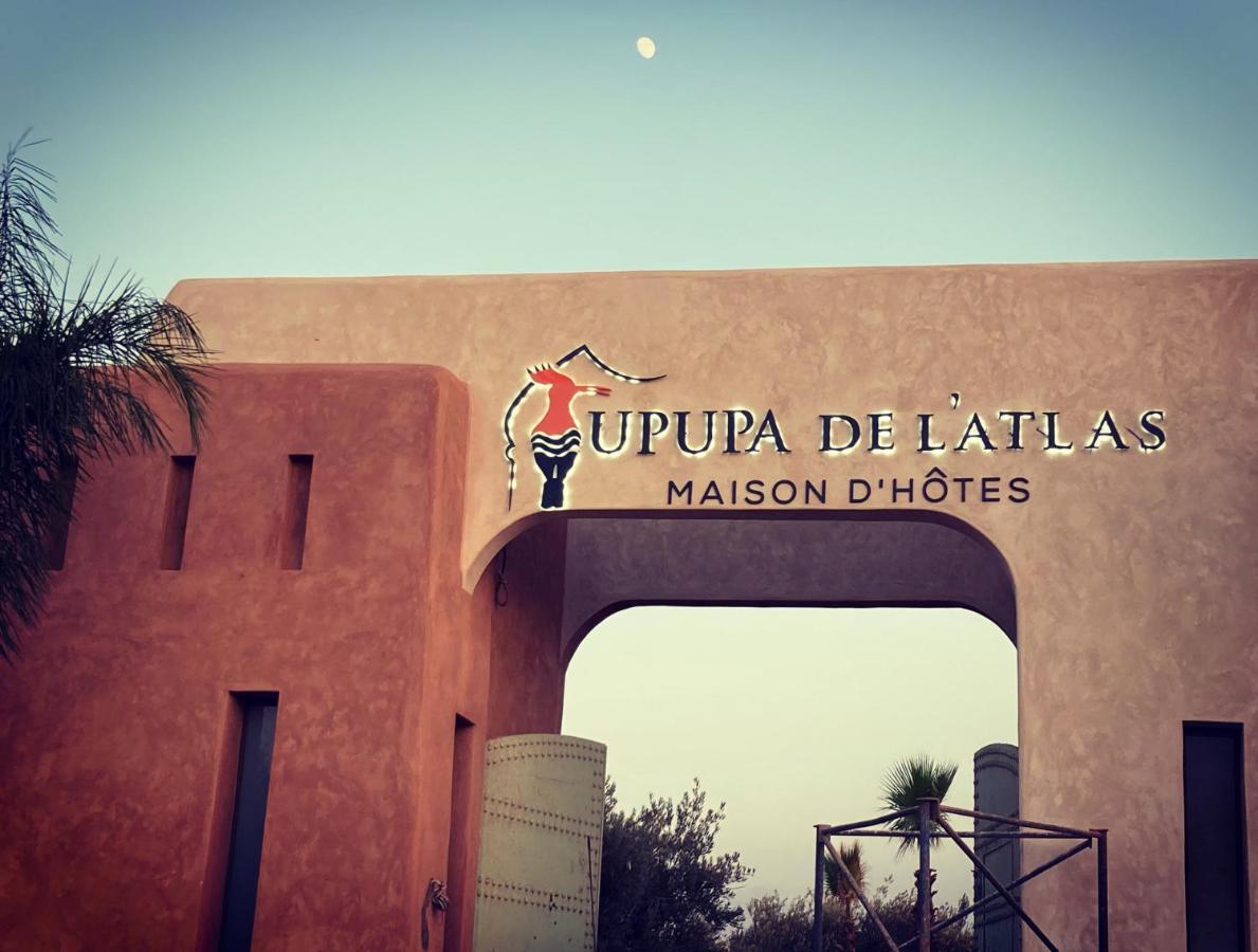 Upupa De L'Atlas Ouled el guerne 外观 照片