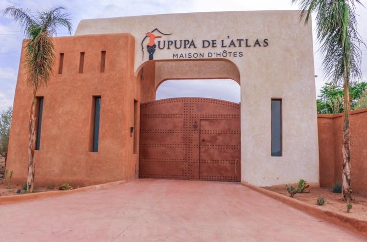 Upupa De L'Atlas Ouled el guerne 外观 照片